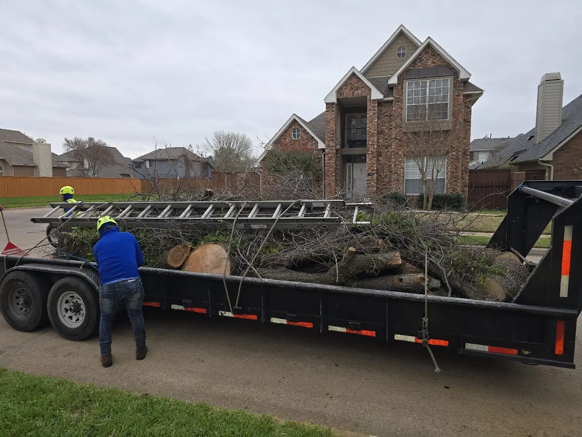 Expert Tree Removal with proper safety equipment in Kents Hill